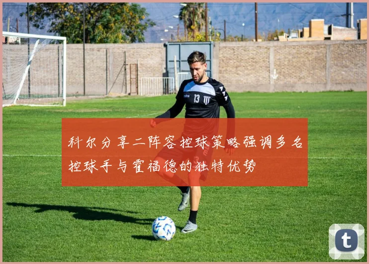 科尔分享二阵容控球策略强调多名控球手与霍福德的独特优势