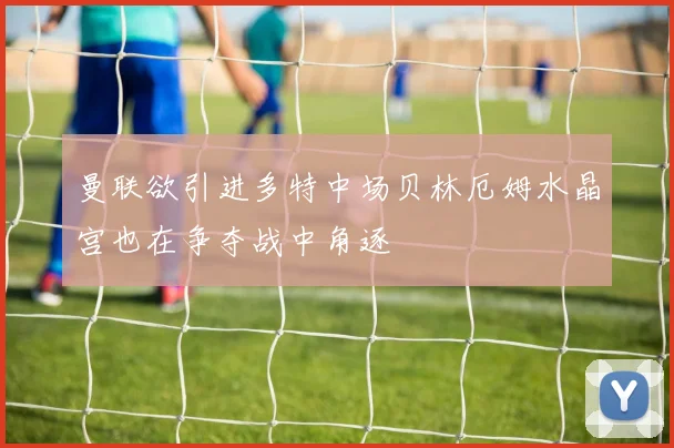 曼联欲引进多特中场贝林厄姆水晶宫也在争夺战中角逐