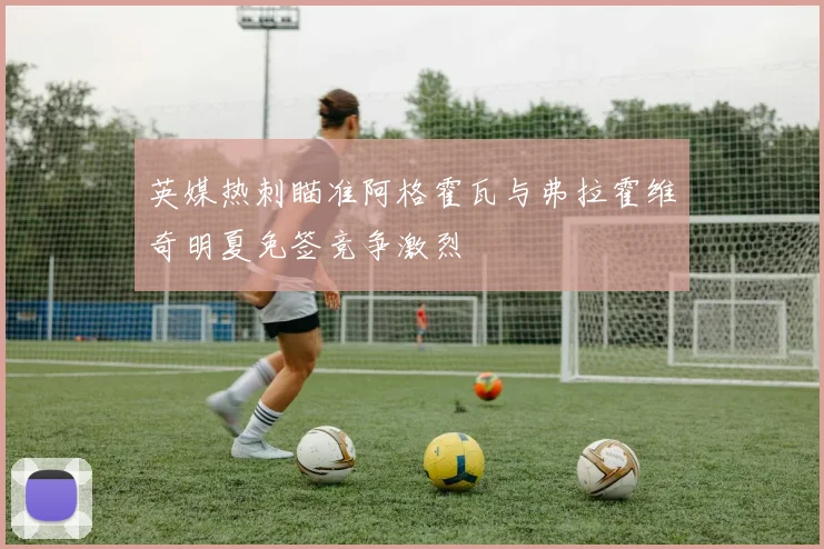 英媒热刺瞄准阿格霍瓦与弗拉霍维奇明夏免签竞争激烈