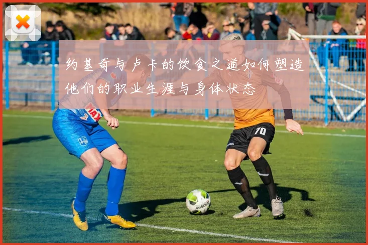 约基奇与卢卡的饮食之道如何塑造他们的职业生涯与身体状态